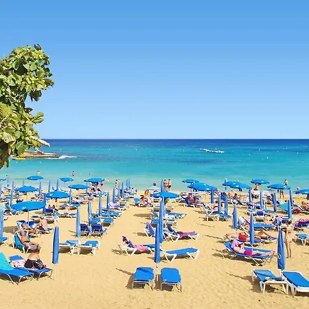 Calypso - Coralli Beachfront Daire